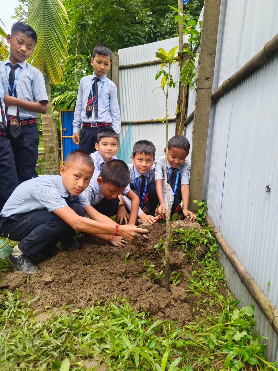 Planting Together